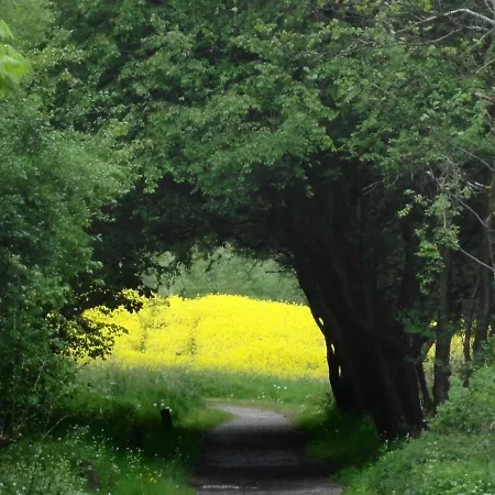 Reethaus Gaarwang Дом отдыха Гельтинг