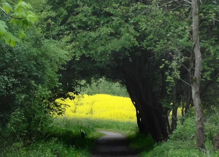 Reethaus Gaarwang Dom wakacyjny Gelting